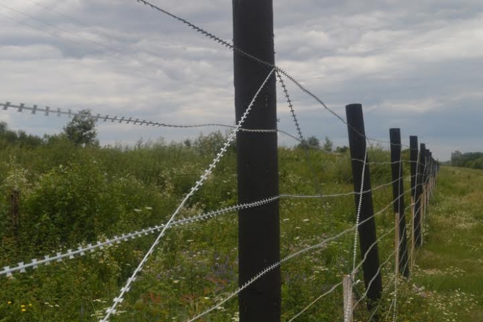 Закарпатські прикордонники зупиняли контрабандистів пострілами     