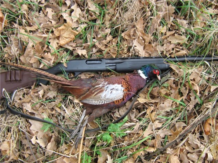 Колишнього поліцейського, що вбив людину під час полювання, відпустили під заставу