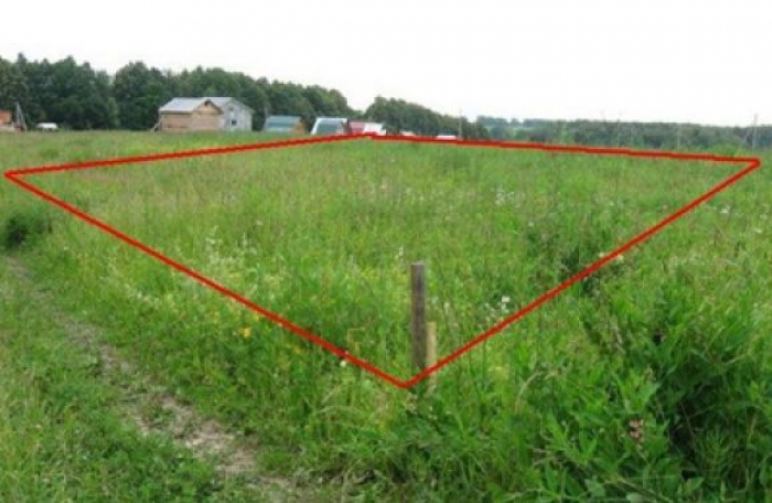 Чиновники закарпатського Держгеокадастру незаконно роздали землю на мільйон