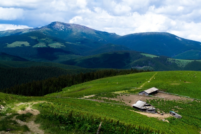 17-річна киянка зламала ногу в Карпатах