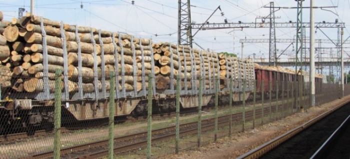 Тернопільські лісівники звинуватили Ужгородський суд у подвійних стандартах