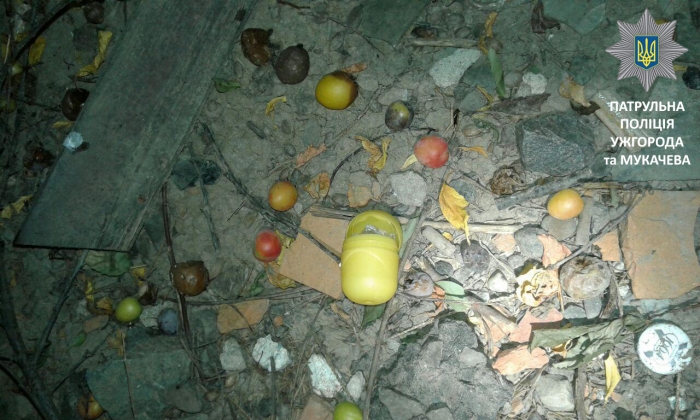Нервозність видала ужгородських наркоманів з головою