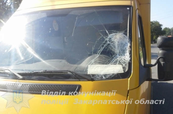 Хустянин зізнався, що збив велосипедиста мікроавтобусом