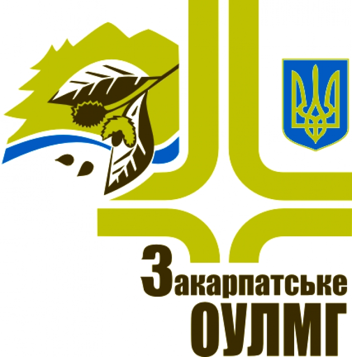 В Ужгороді з аукціону продаватимуть деревину