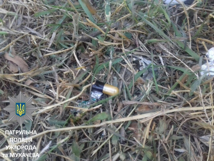 В Ужгороді нетверезий водій відмовився проходити тест на вміст алкоголю в крові