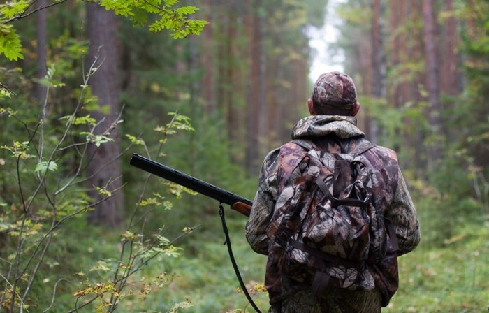 В Україні створять нову мисливську службу, в яку планують залучити ветеранів АТО