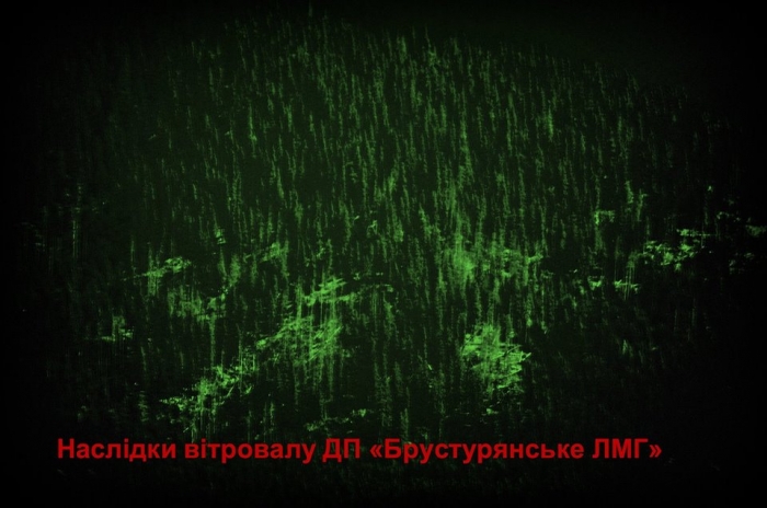 Буревій на Тячівщині повалив більше 200 гектарів лісу