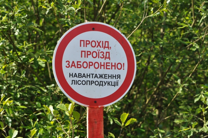 Закарпатські лісівники похвалилися зменшенням числа нещасних випадків