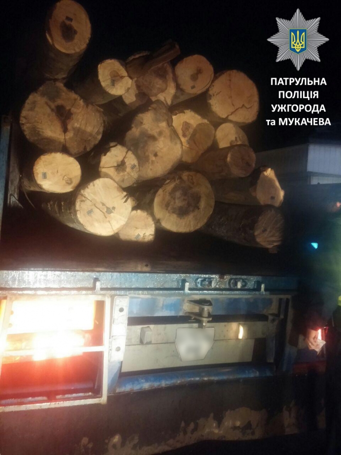 На перевалі в Нижніх Воротах затримали дві вантажівки з лісом