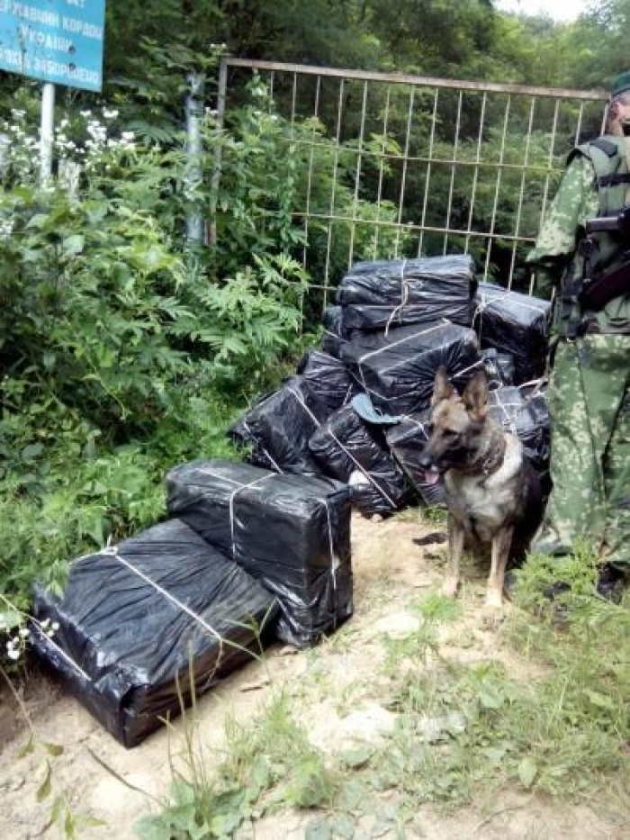 Закарпатські прикордонники знайшли схованку контрабандистів