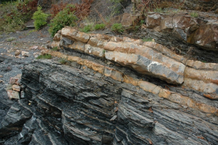 Закарпатські депутати хочуть змінити підхід до користування надрами