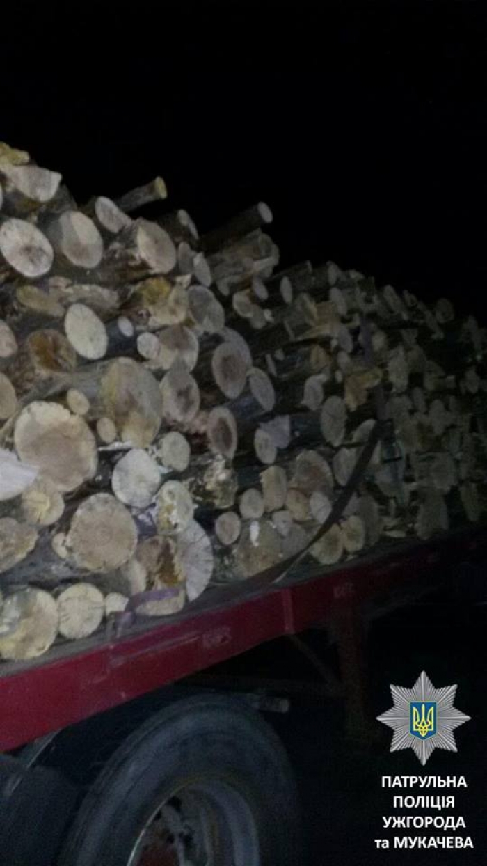 Вантажівку з лісом і без номерів затримали у Нижніх Воротах