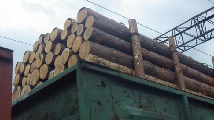 Ужгородський суд конфіскував ще один вагон з деревиною зі Львівщини