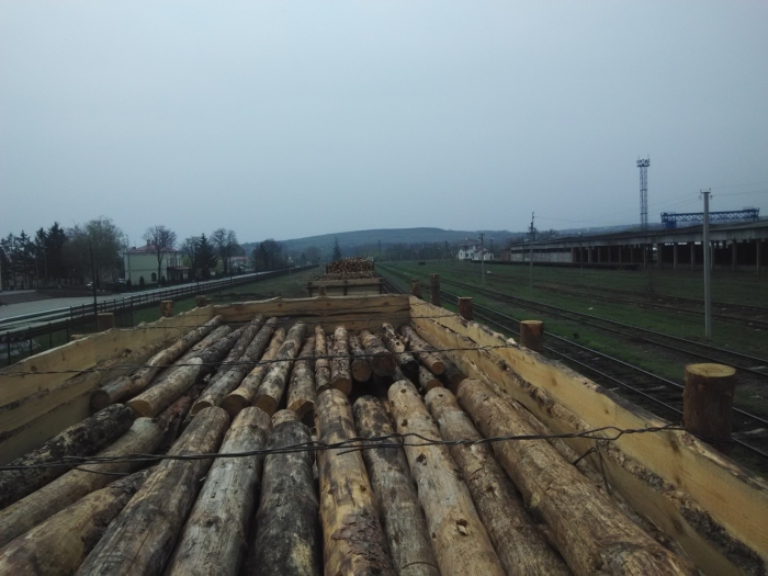 Закарпатські митники оформили протоколи про контрабанду 44 вагонів лісу