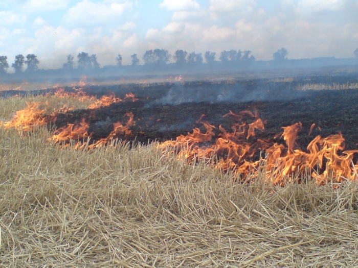 За вихідні на Закарпатті вигоріло більше 32 гектарів трави