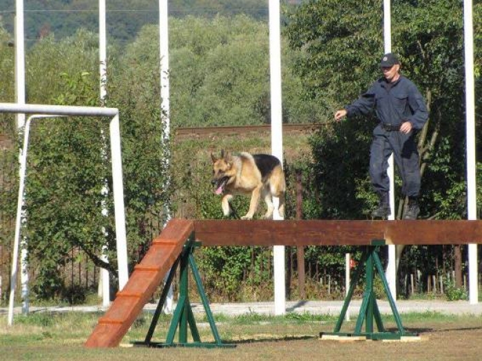 Закарпатець став другим на чемпіонаті кінологів Національної поліції
