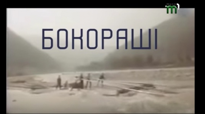 Чоловіча робота закарпатців - бокораші