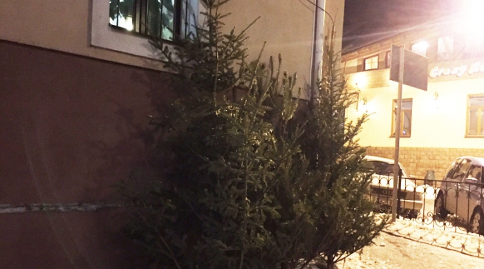 На вулицях Ужгорода починають з'являтися ялинки