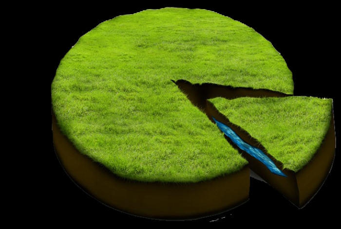 Колишній сільський голова на Іршавщині прошахраював понад півгектара землі