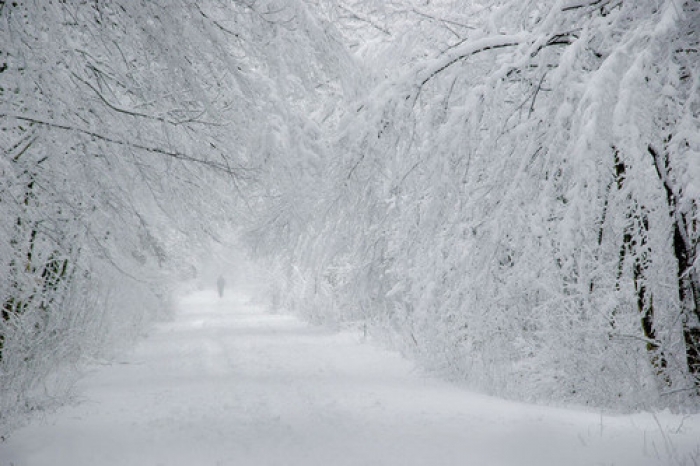 На Закарпаття Різдво принесе сильні сніги і морози