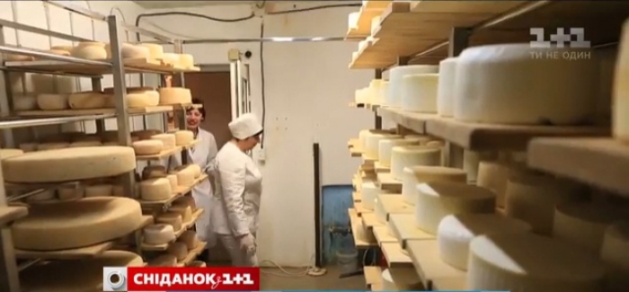 Оленячу ферму і сироварню на Хустщині відзняли для програми "Мій путівник" на Плюсах