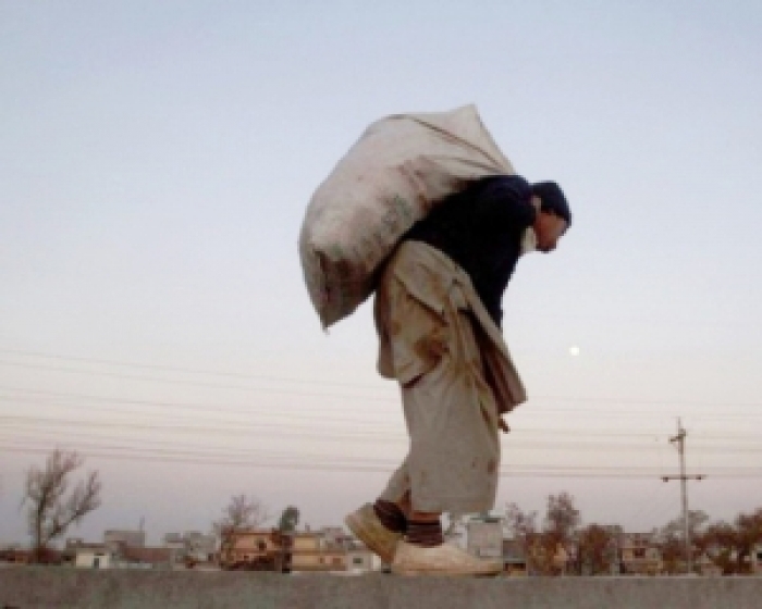 Залишив сусідку без зерна і бензопили злодій з Мукачівщини