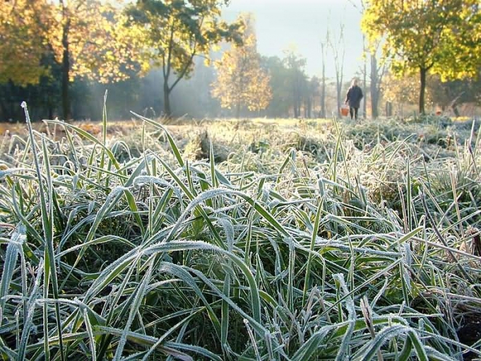 На Закарпатті очікуються заморозки