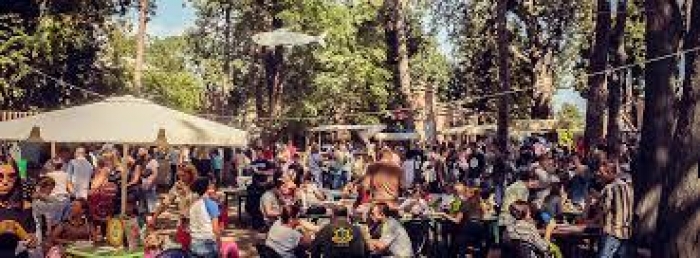 Куди піти та як розважитися на Закарпатті на вихідних