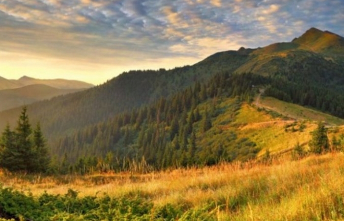 На більшості території Закарпаття завтра знову буде сухо, але - прохолодно!