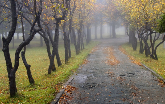 Четвер знову принесе дощі на Закарпаття