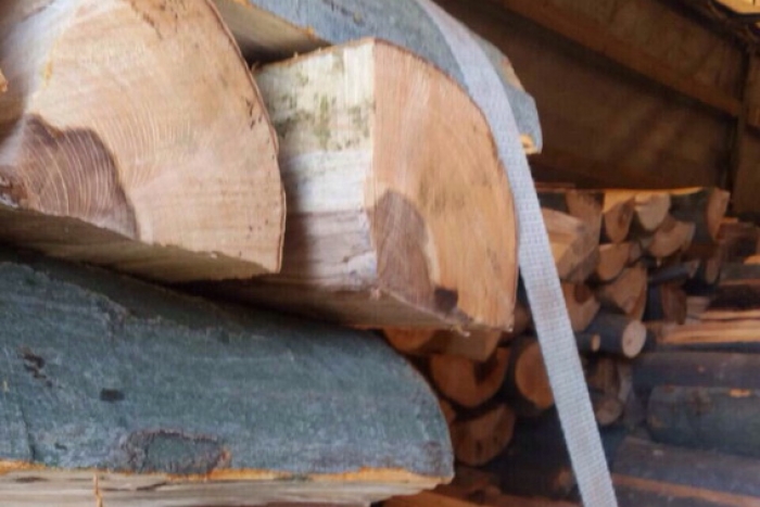 За кермом фури з "лівими" дровами на зиму сидів мешканець Ужгородщини