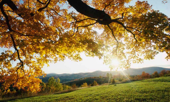 Бабине літо на Закарпатті триває!