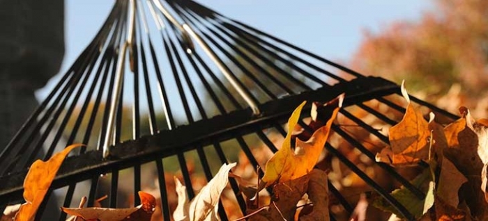 Мукачівський суд присудив крадію 100 годин громадських робіт