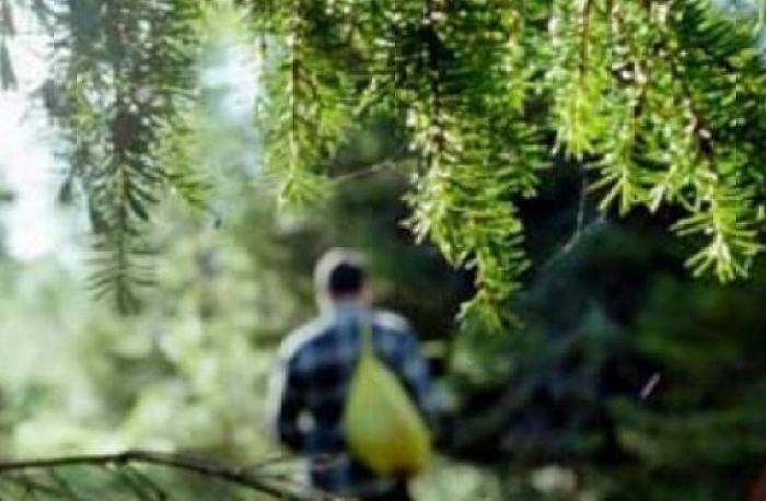 Черговий грибник заблукав у лісах Закарпаття