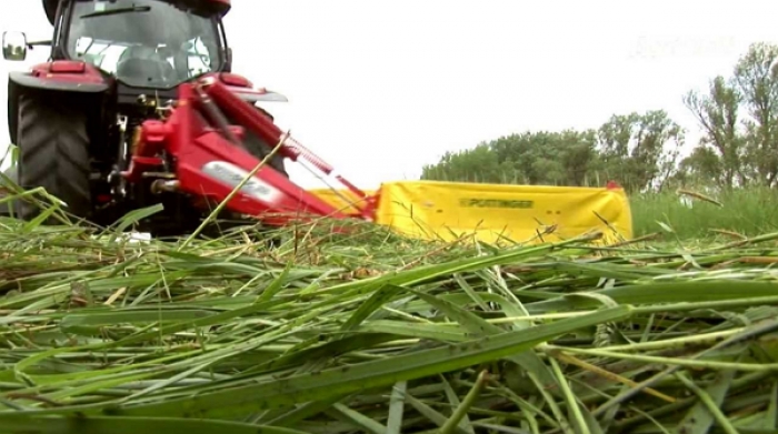 Механізатор-закарпатець помер страшною смертю на польових роботах в Угорщині