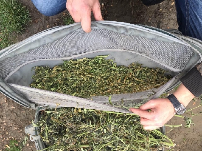Поліція затримала у Чопі місцевого "Пабло Ескобара" з 10-ма кілограмами "травички"
