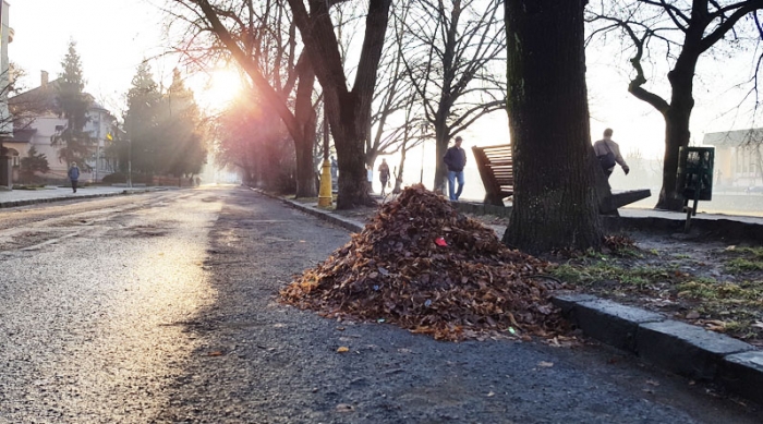 Які роботи проводять в Ужгороді комунальні та інші підприємства