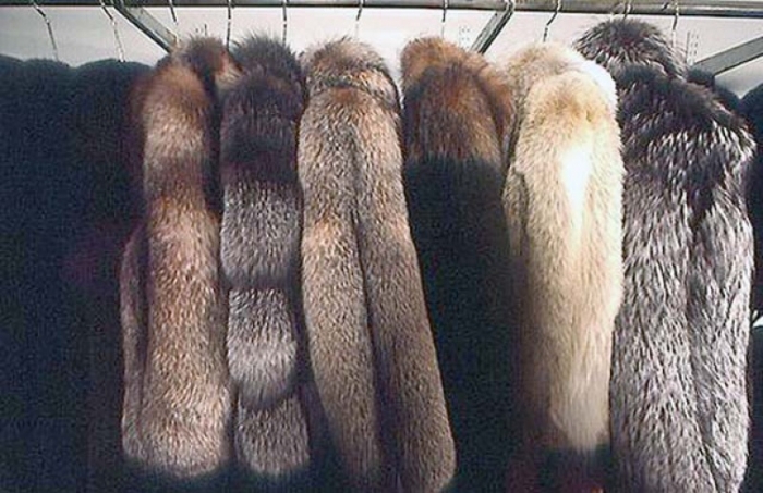 Закарпатські злодії скоїли грабіж за 45 секунд!