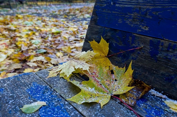 Вночі на Закарпатті буде морозно, завтра вдень — сухо і до +10