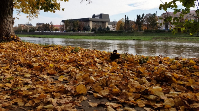 Чим сьогодні займаються ужгородські комунальники?