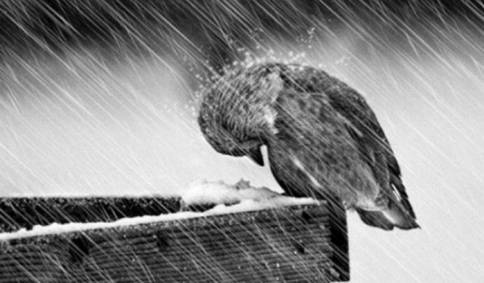 Середа на Закарпатті очікується сніжно-дощовою