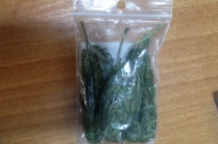 Марихуану знайшла поліція у працівника приватного підприємства на Закарпатті