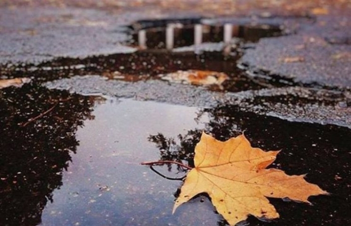 Закарпаття: У суботу — без опадів, у неділю — дощ і сніг