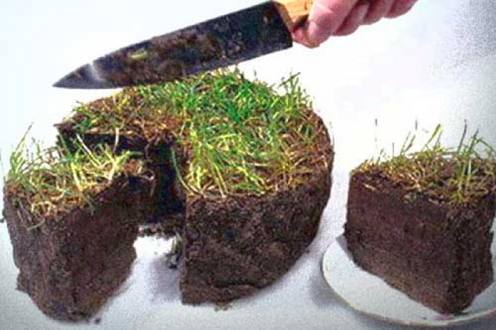 Берегівська Феміда поставила крапку в земельній афері