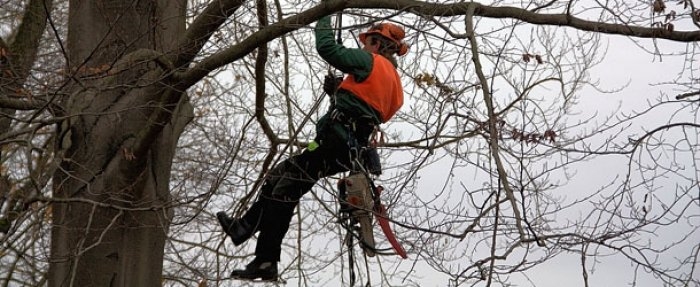 Сьогодні в Ужгороді: відновлюють, прибирають, реконструюють та ремонтують