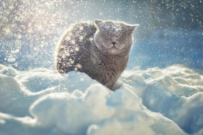 "На Михайля" Закарпаття припорошить снігом