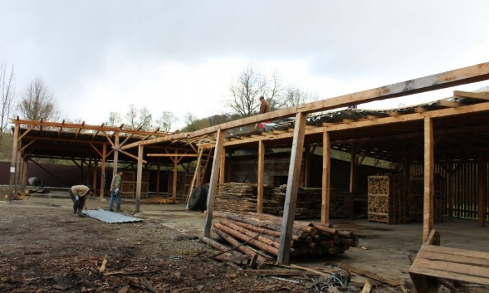 На Перечинщині стихія завдала шкоди лісгоспу