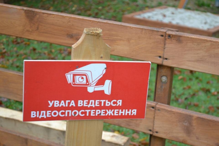 На Закарпатті зафіксовано 300 випадків незаконних рубок лісу