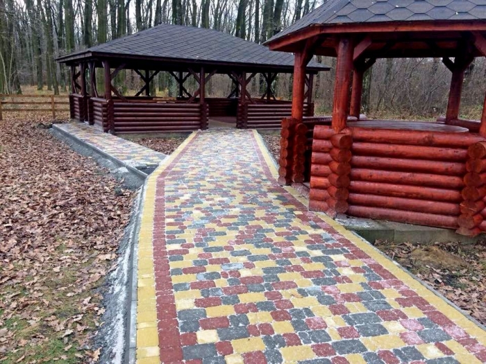 Рекреаційні місцини для відпочивальників "вчинили" лісові господарники Закарпаття