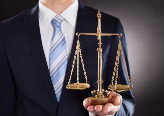 Двом працівникам ужгородського товариства, з вини яких дерево покалічило школярку, оголошено про підозру